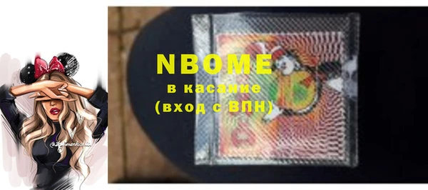 гидра Верхний Тагил